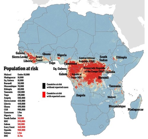 Britain’s first test of new Ebola vaccine on humans - ảnh 2